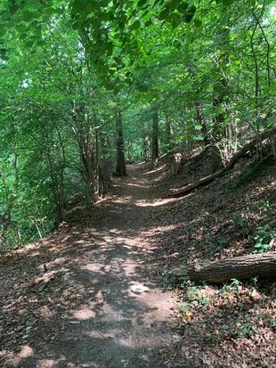 Wanderweg Trebuser See