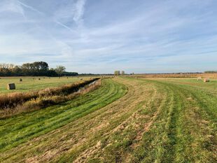 Deichwanderweg bei Bahnitz