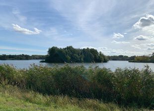 Insel in der Havel