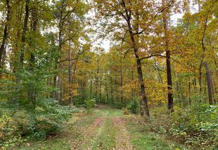 Wanderung im Herbst im Landkreis Oder-Spree