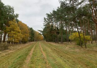 Deichweg zwischen dem Gülper See und Rhinow