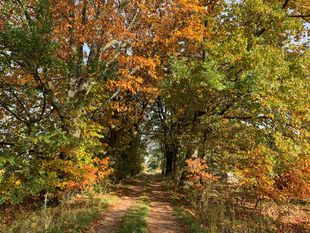 Wanderweg zur Schleuse Bahnitz