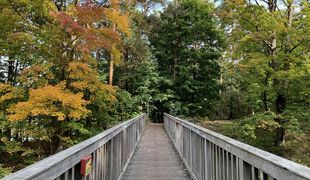 Wandern auf dem Leistikowsteg im Herbst