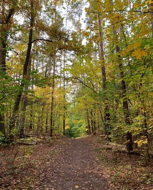 Herbstwanderung im Seenland Oder-Spree