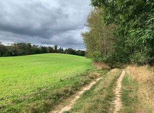 Weg zwischen Marxdorf - Jahnsfelde 2