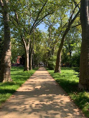 Allee im Anita-Berber-Park Neukölln