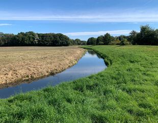 Deichgraben an der Havel