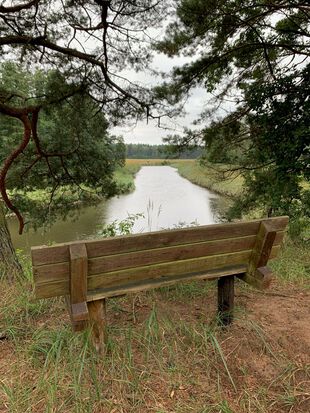 Bank an der Havel Kleine Schorfheide