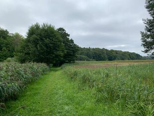 Weg Gallen-Beek Uckermark