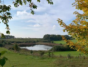 Kleiner See im Naturschutzgebiet Buckowseerinne