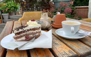 Torte im Storchennest Jahnsfelde