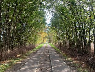 Wanderweg zwischen Bahnitz und Kützkow