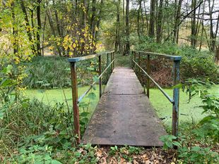 Brücke über den Pelzgraben