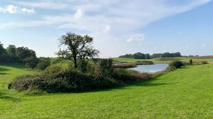 Schönes Naturschutzgebiet Buckowseerinne