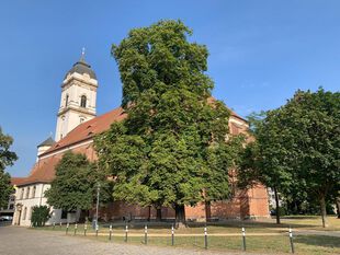 Dom Fürstenwalde, auf der Nordseite befindet sich ein Schachbrettstein