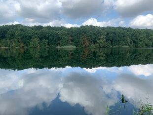 Spiegelung Trebuser See - Wanderung Seenland Oder-Spree