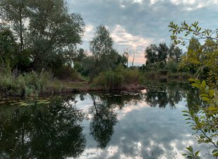 Etziner Teichlandschaft