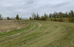 Wanderweg auf dem Deich zum Gülper See