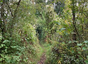 Weg Teichlandschaft Etzin