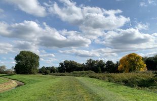 Deichweg an der Havel