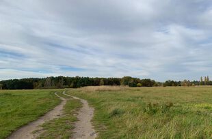 Wanderweg an der Havel bei Plaue